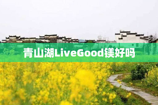 青山湖LiveGood镁好吗