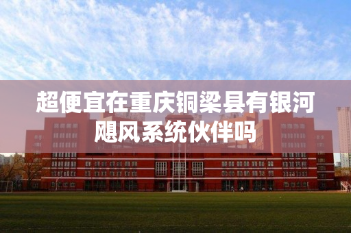 超便宜在重庆铜梁县有银河飓风系统伙伴吗
