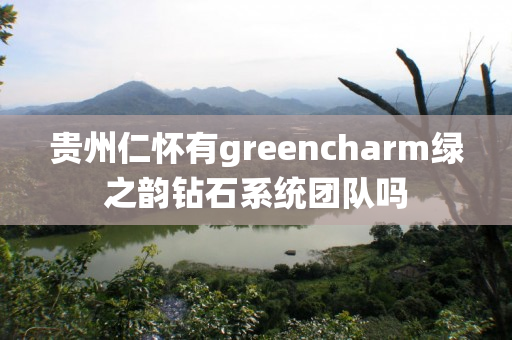 贵州仁怀有greencharm绿之韵钻石系统团队吗