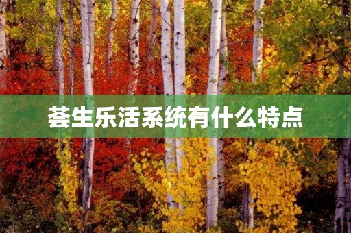 荟生乐活系统有什么特点