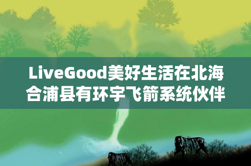 LiveGood美好生活在北海合浦县有环宇飞箭系统伙伴吗