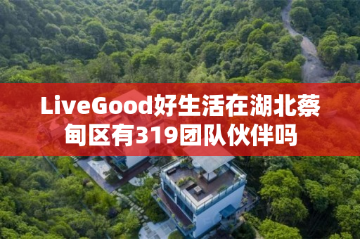 LiveGood好生活在湖北蔡甸区有319团队伙伴吗