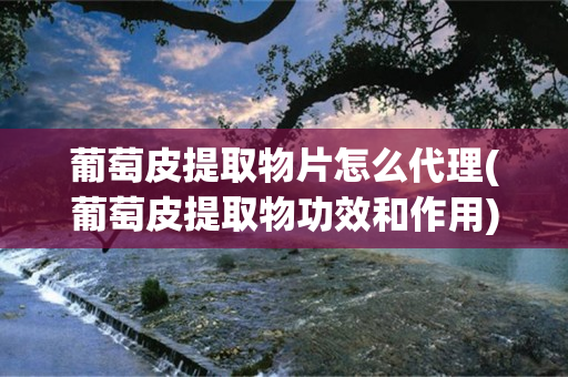 葡萄皮提取物片怎么代理(葡萄皮提取物功效和作用)