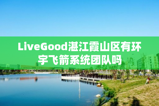 LiveGood湛江霞山区有环宇飞箭系统团队吗