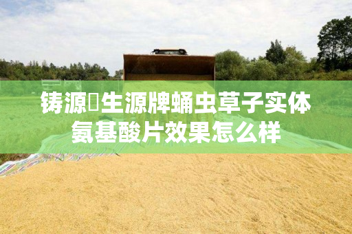 铸源昇生源牌蛹虫草子实体氨基酸片效果怎么样