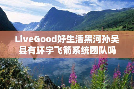 LiveGood好生活黑河孙吴县有环宇飞箭系统团队吗