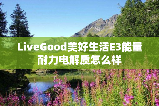 LiveGood美好生活E3能量耐力电解质怎么样