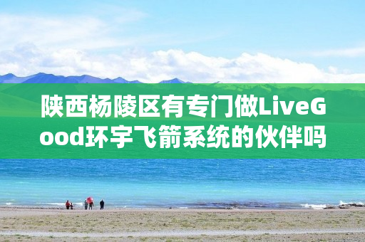 陕西杨陵区有专门做LiveGood环宇飞箭系统的伙伴吗