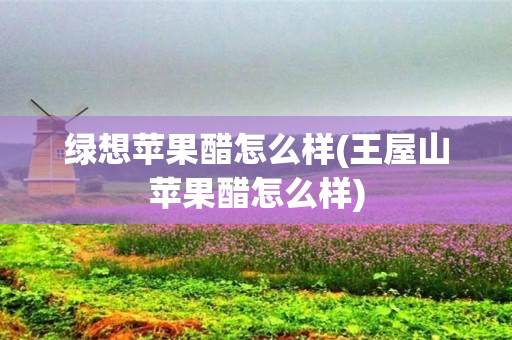 绿想苹果醋怎么样(王屋山苹果醋怎么样)