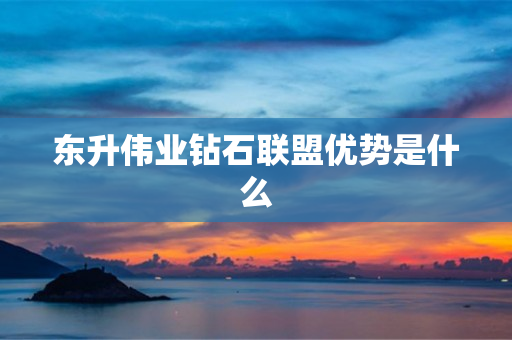 东升伟业钻石联盟优势是什么