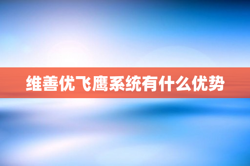 维善优飞鹰系统有什么优势