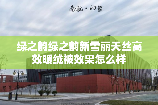 绿之韵绿之韵新雪丽天丝高效暖绒被效果怎么样