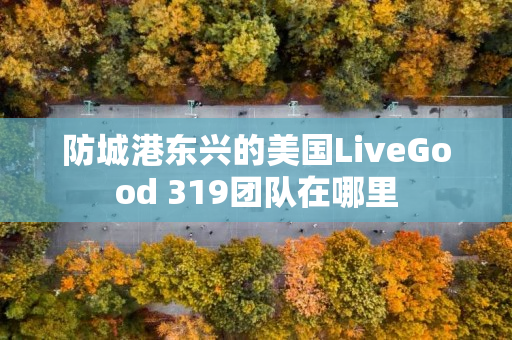 防城港东兴的美国LiveGood 319团队在哪里