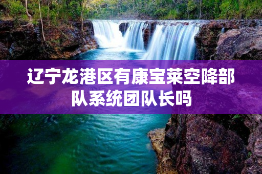 辽宁龙港区有康宝莱空降部队系统团队长吗
