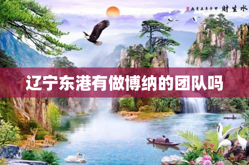 辽宁东港有做博纳的团队吗
