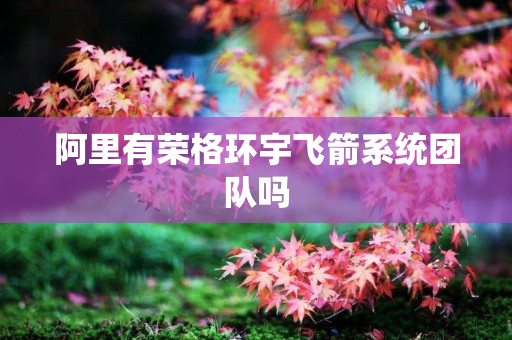 阿里有荣格环宇飞箭系统团队吗