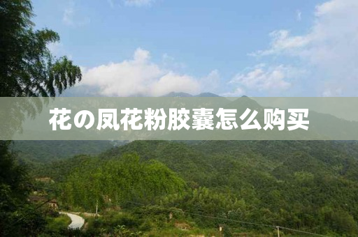 花の凤花粉胶囊怎么购买