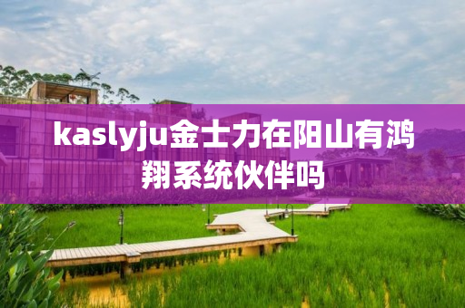 kaslyju金士力在阳山有鸿翔系统伙伴吗