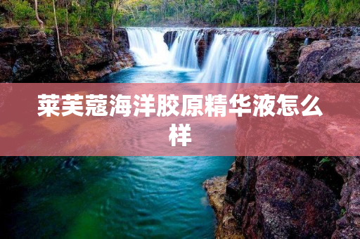 莱芙蔻海洋胶原精华液怎么样