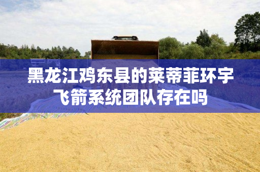 黑龙江鸡东县的莱蒂菲环宇飞箭系统团队存在吗