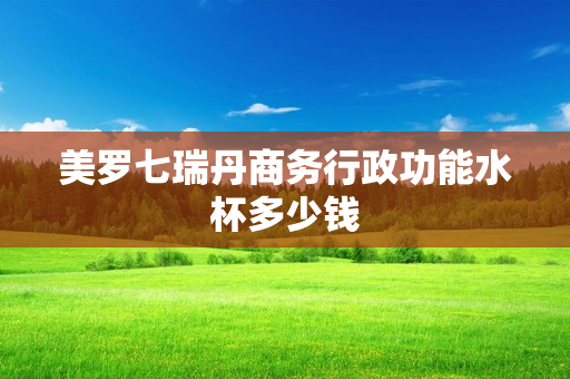美罗七瑞丹商务行政功能水杯多少钱
