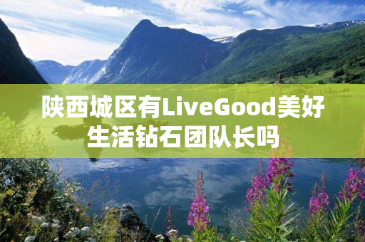 陕西城区有LiveGood美好生活钻石团队长吗