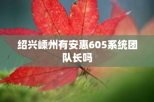 绍兴嵊州有安惠605系统团队长吗