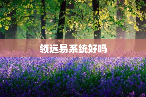 领远易系统好吗