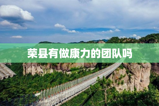 荣县有做康力的团队吗