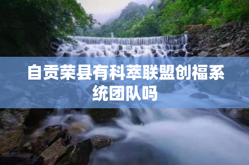 自贡荣县有科萃联盟创福系统团队吗