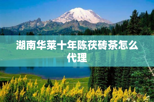 湖南华莱十年陈茯砖茶怎么代理