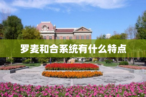 罗麦和合系统有什么特点