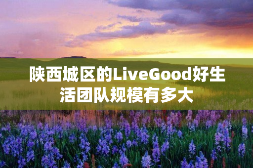 陕西城区的LiveGood好生活团队规模有多大