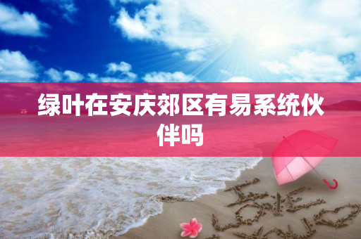绿叶在安庆郊区有易系统伙伴吗
