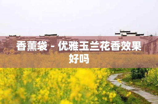 香薰袋 - 优雅玉兰花香效果好吗