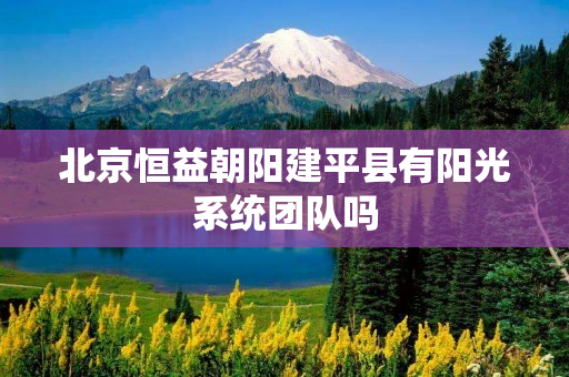 北京恒益朝阳建平县有阳光系统团队吗