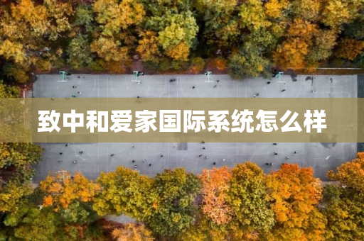 致中和爱家国际系统怎么样