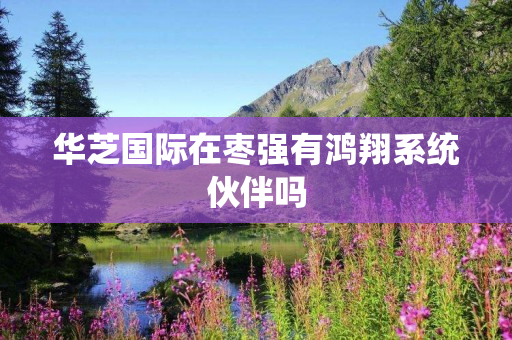 华芝国际在枣强有鸿翔系统伙伴吗