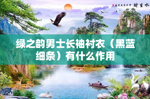 绿之韵男士长袖衬衣（黑蓝细条）有什么作用