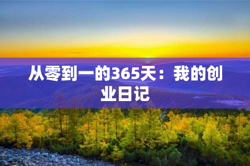 从零到一的365天：我的创业日记