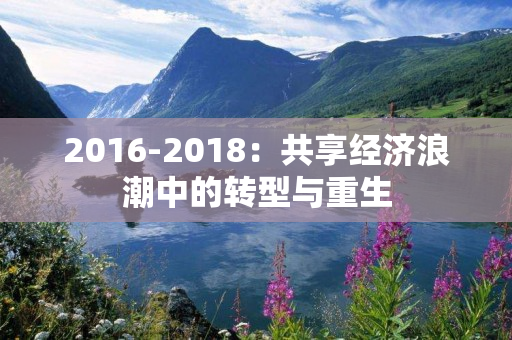 2016-2018：共享经济浪潮中的转型与重生