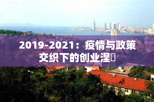 2019-2021：疫情与政策交织下的创业涅槃