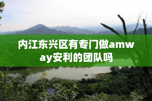 内江东兴区有专门做amway安利的团队吗