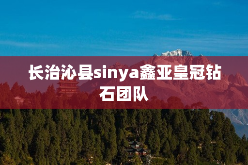 长治沁县sinya鑫亚皇冠钻石团队