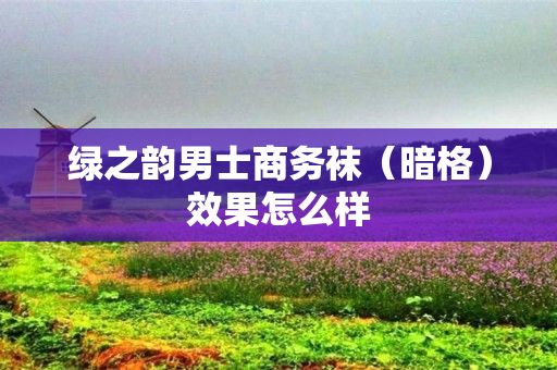 绿之韵男士商务袜（暗格）效果怎么样