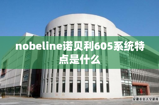 nobeline诺贝利605系统特点是什么