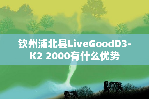 钦州浦北县LiveGoodD3-K2 2000有什么优势