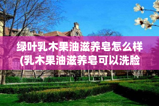 绿叶乳木果油滋养皂怎么样(乳木果油滋养皂可以洗脸吗)