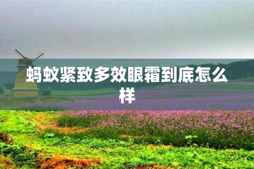 蚂蚁紧致多效眼霜到底怎么样