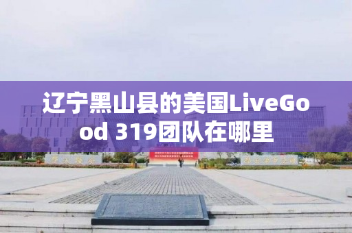 辽宁黑山县的美国LiveGood 319团队在哪里